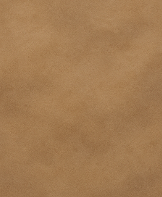 Skin 00